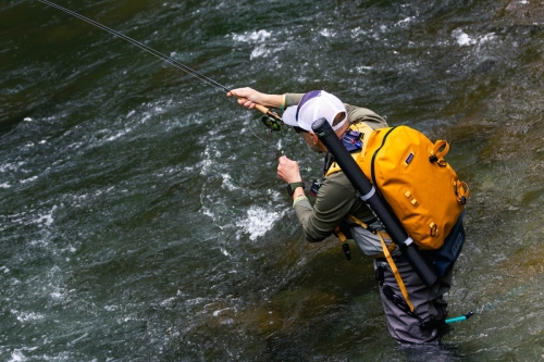 M6A4333-Migliorato-NR